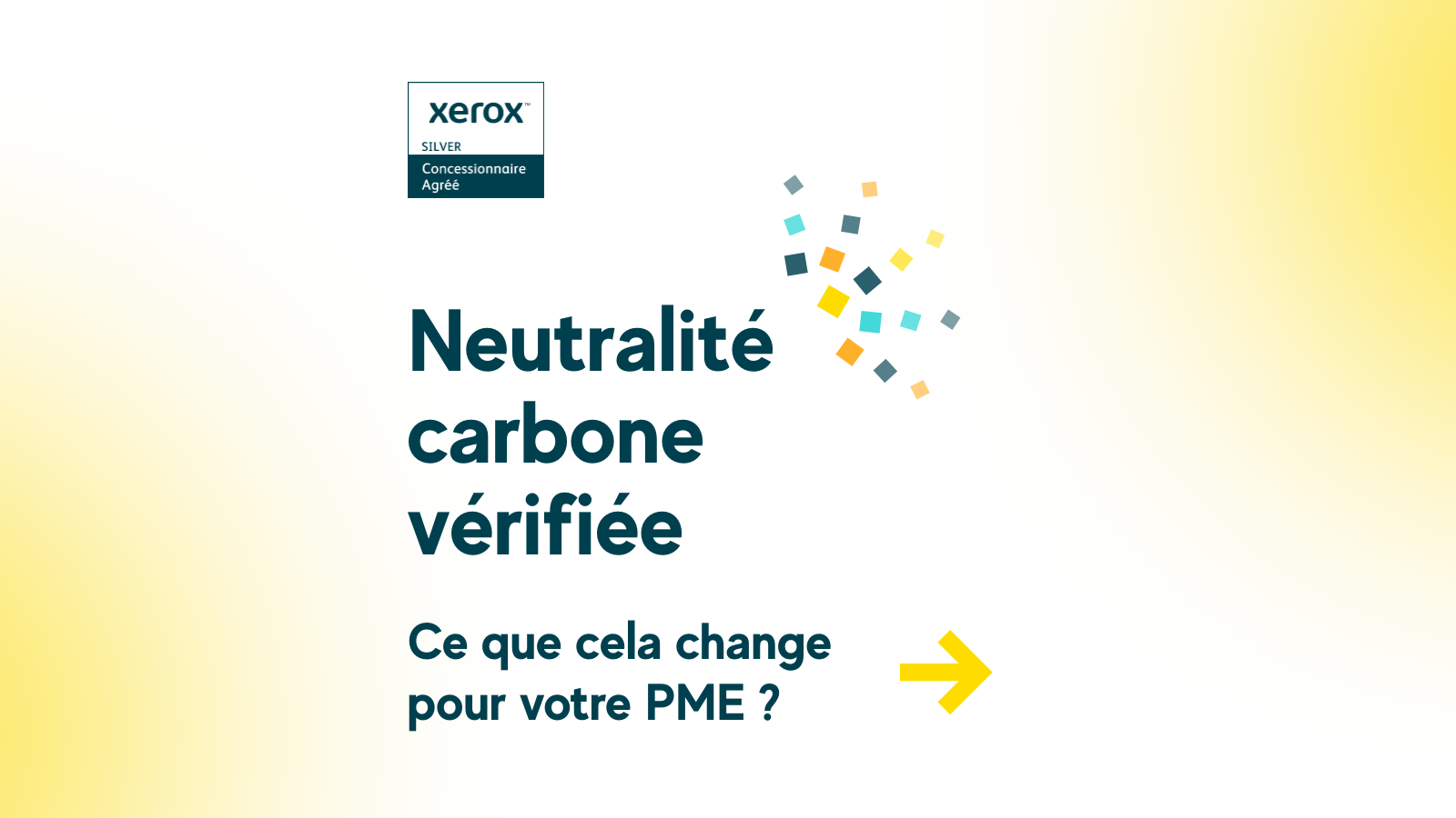 Neutralité carbone vérifiée : un vrai levier RSE pour votre PME